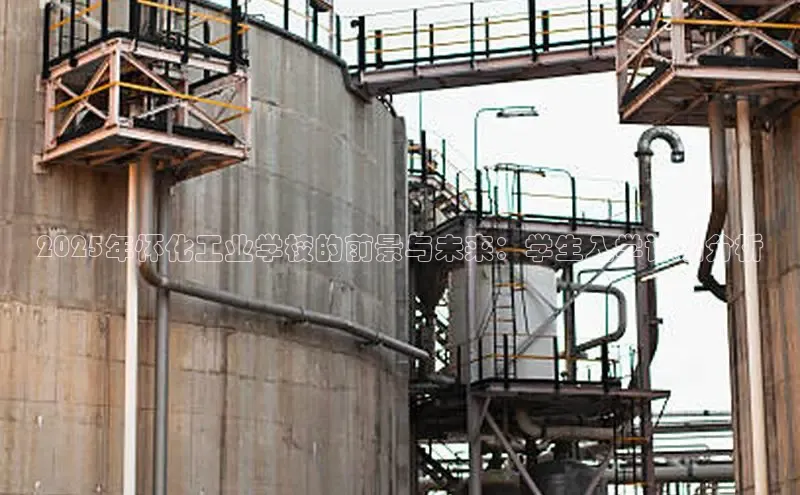 BETVlCTOR最新地址