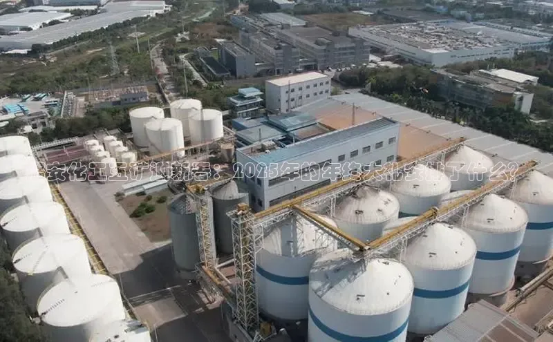 伟的国际1946bv官网